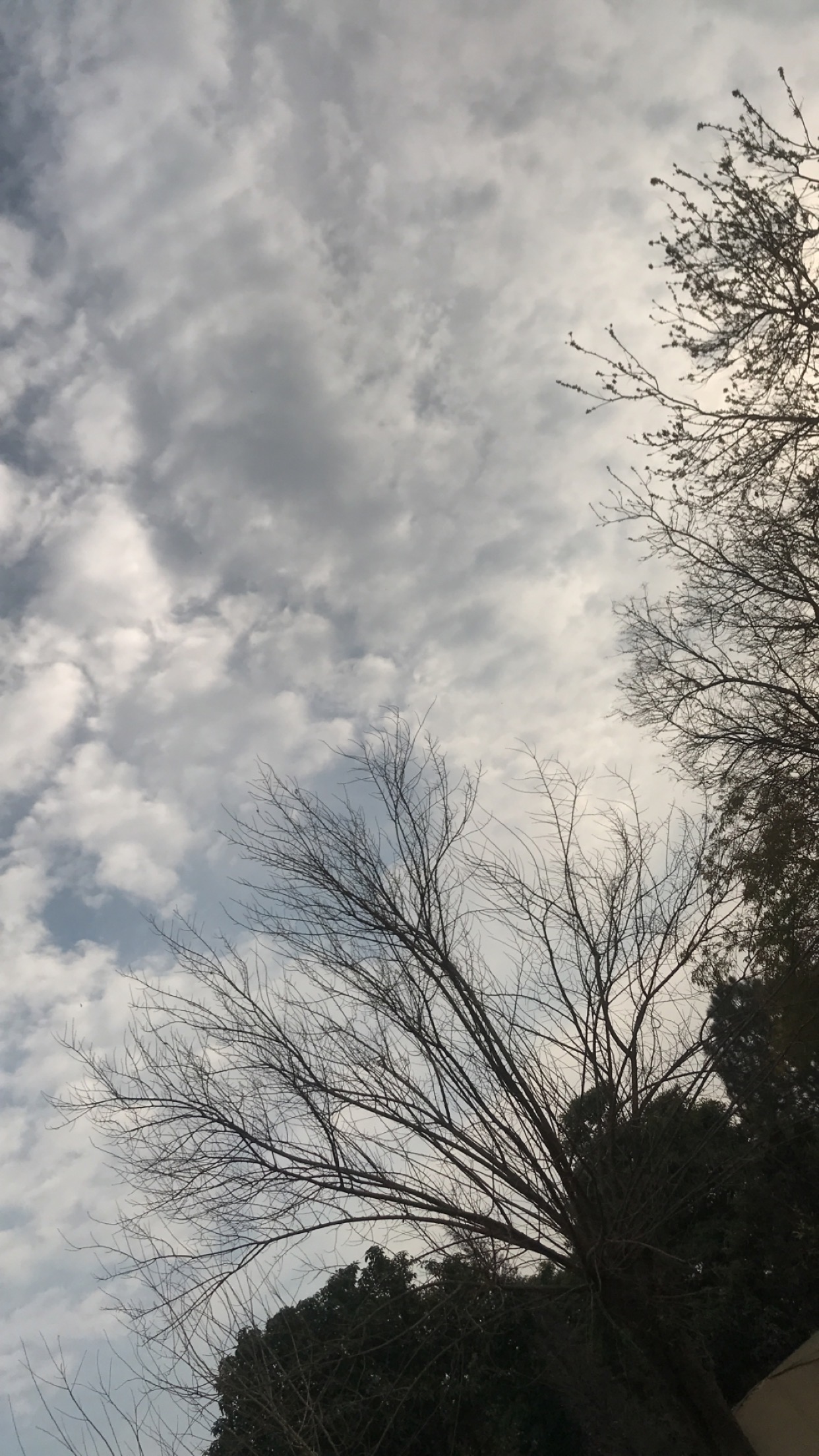 IMG 2354