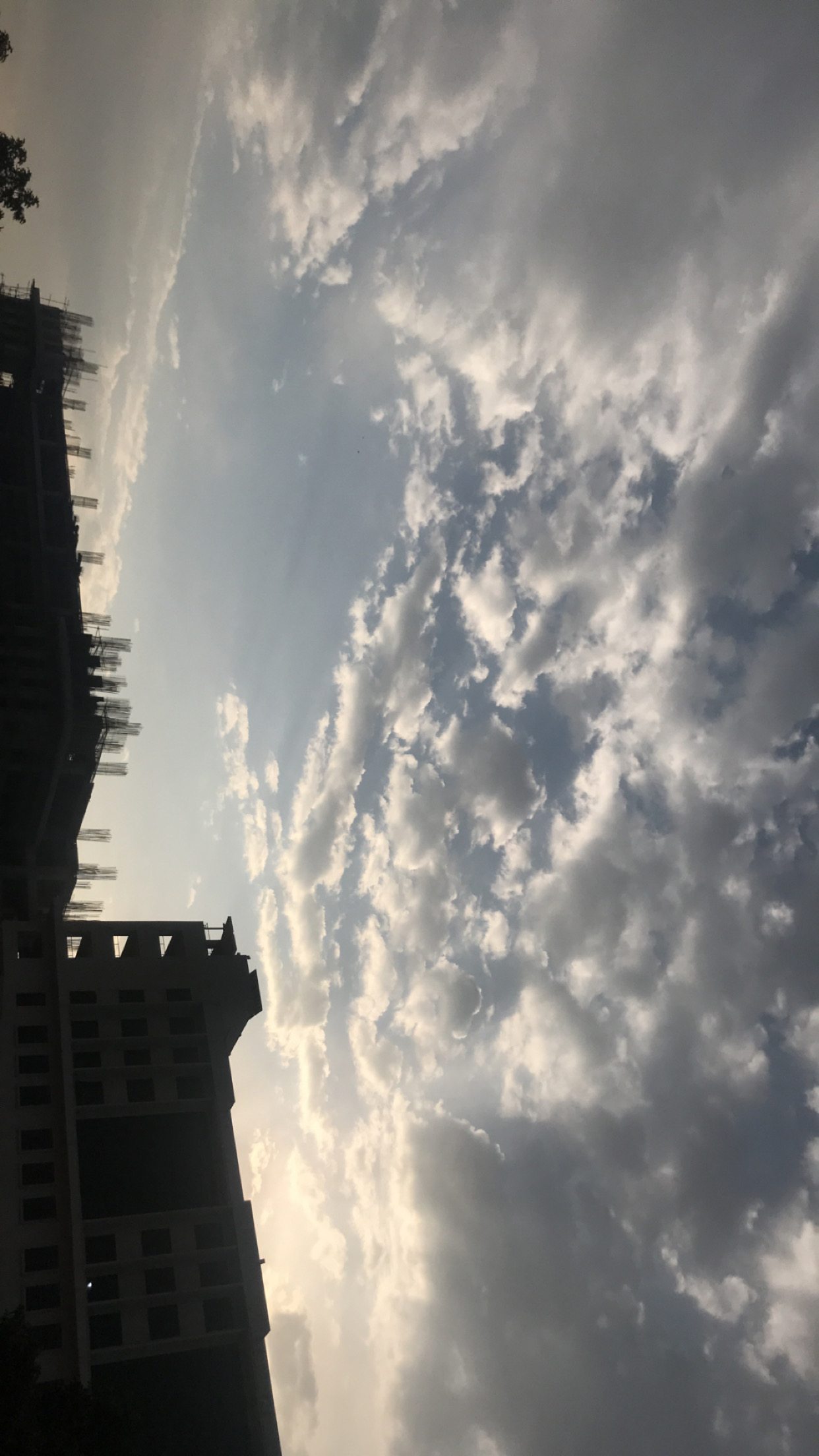 IMG 3600