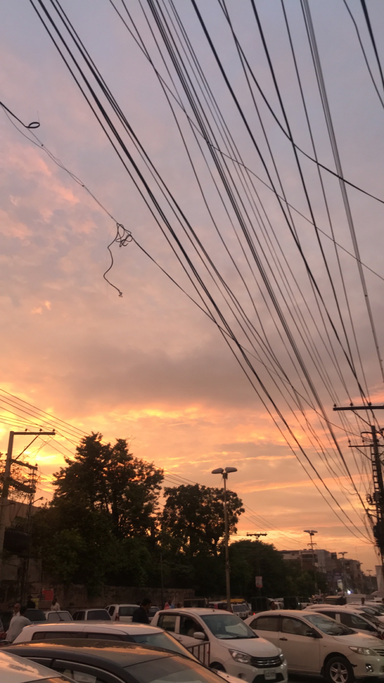 Powerlines sunset