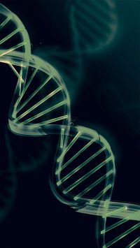 Feature Selection using Genetic Algorithm logo